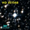 HD 307568