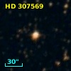 HD 307569