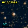 HD 307589