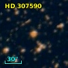 HD 307590