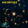HD 307593