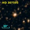 HD 307595