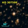 HD 307599