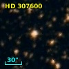HD 307600