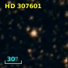 HD 307601