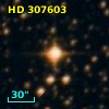 HD 307603