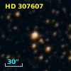 HD 307607