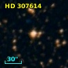 HD 307614