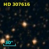 HD 307616