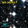 HD 307617
