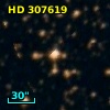 HD 307619
