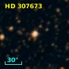 HD 307673