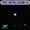 TYC 4528-1310-1