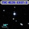 TYC 4528-1317-1
