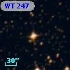 WT  247