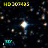HD 307495