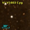 V* V1603 Cyg