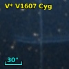 V* V1607 Cyg