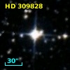 HD 309828