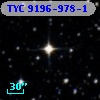 TYC 9196-978-1