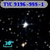 TYC 9196-988-1