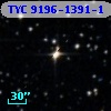 TYC 9196-1391-1