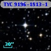 TYC 9196-1813-1