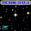 TYC 9196-3117-1