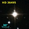 HD  36495