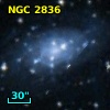 NGC  2836