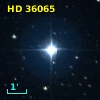 HD  36065