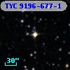 TYC 9196-677-1