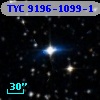 TYC 9196-1099-1