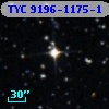 TYC 9196-1175-1