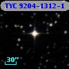 TYC 9204-1312-1