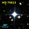HD  75613