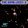 TYC 9199-1317-1