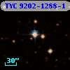 TYC 9202-1288-1