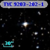 TYC 9203-202-1