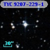 TYC 9207-229-1