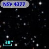 NSV  4377