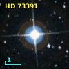 HD  73391