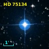 HD  75134