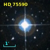 HD  75590