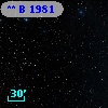 **   B  1981