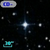 CD-73   437