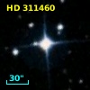 HD 311460