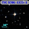 TYC 9206-1323-1
