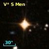 V* S Men