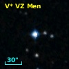 V* VZ Men